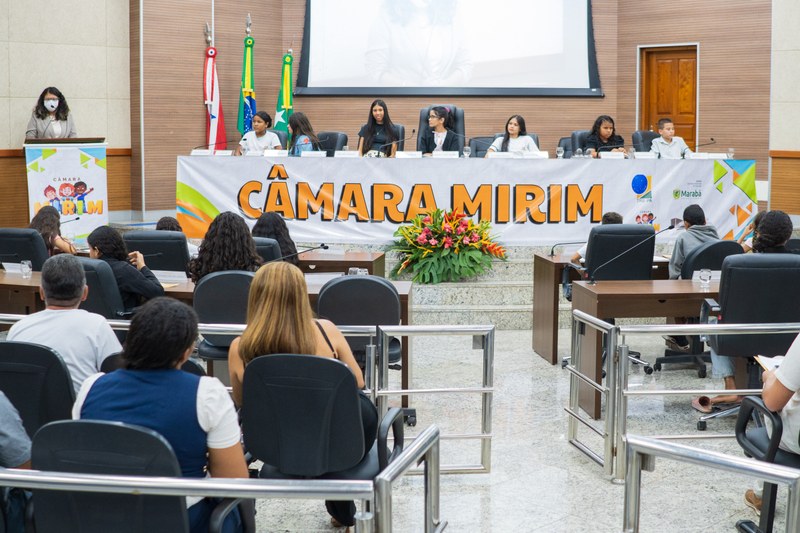 Câmara Mirim destaca força da juventude na defesa dos direitos dos idosos