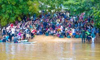 Câmara participa de soltura de quelônios no Rio Tocantins