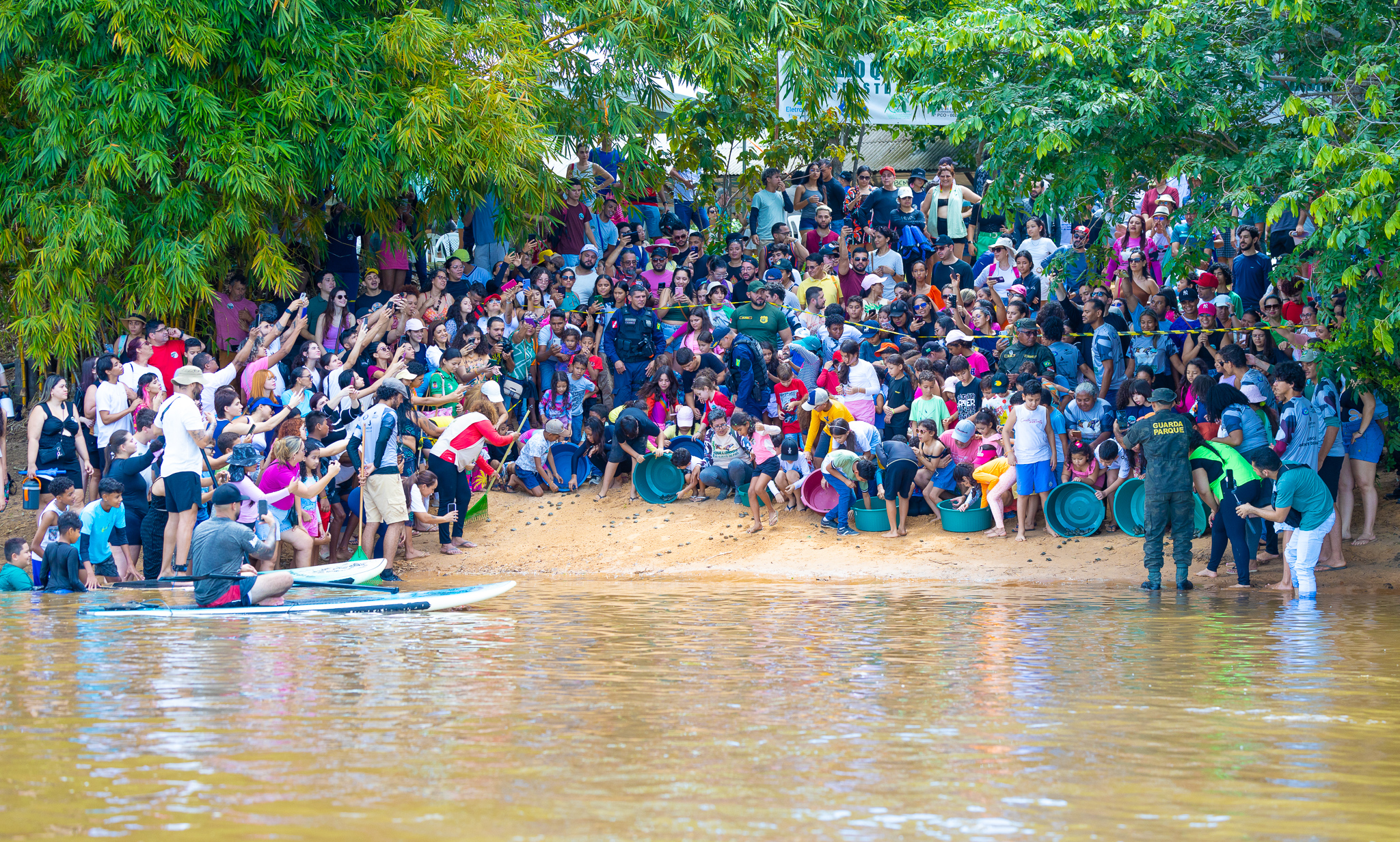 Câmara participa de soltura de quelônios no Rio Tocantins