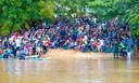 Câmara participa de soltura de quelônios no Rio Tocantins