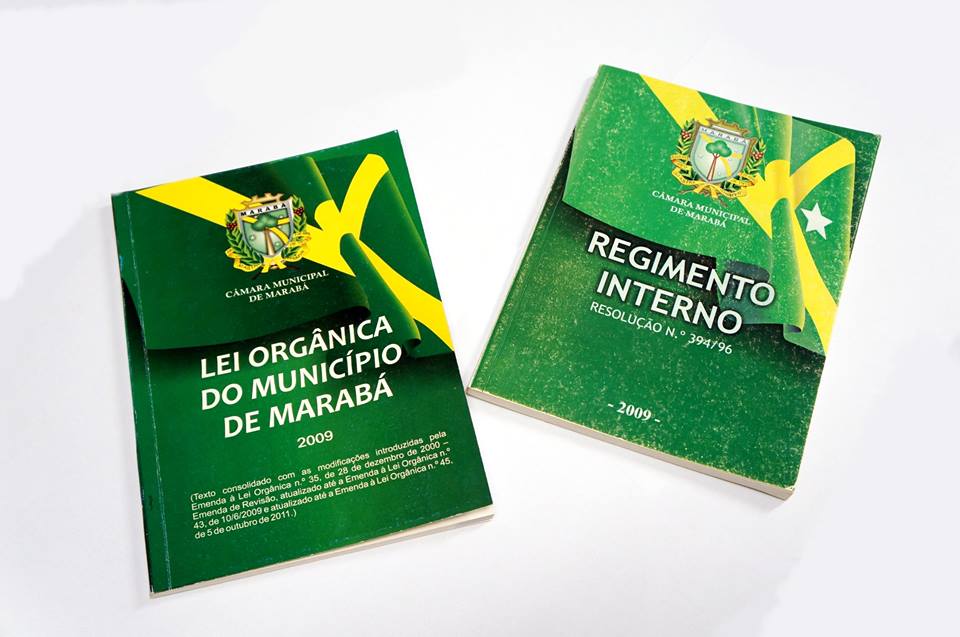 Câmara realizará revisão da Lei Orgânica e Regimento Interno