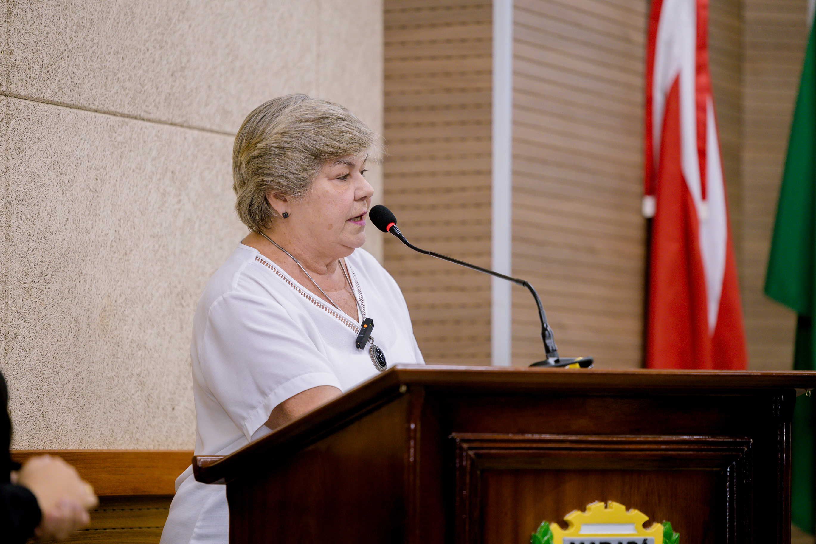 Dra. Cristina quer pelo menos 30% de mulheres nos conselhos de controle social   