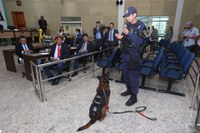 Guarda Municipal faz exibição de atuação do canil e pede aprovação de projeto de lei