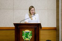 Maiana solicita ponte de concreto para a Vila Bandeirante