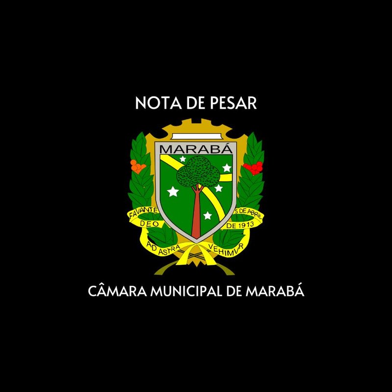 NOTA DE PESAR