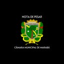 NOTA DE PESAR