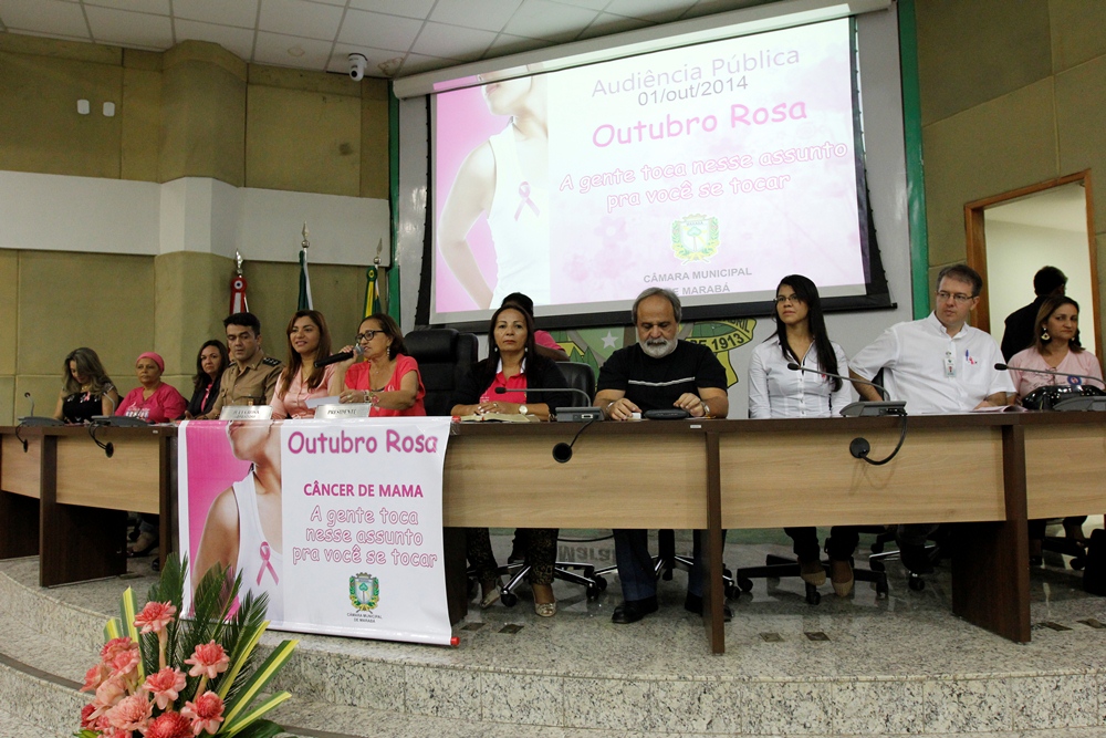 Outubro começa com Audiência Pública na Câmara sobre câncer de mama