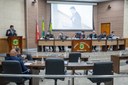 Presidente da OAB Marabá fala, na Câmara, dos dilemas da advocacia