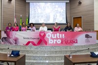 Sessão do Outubro Rosa analisa avanços e cobra novos serviços em Marabá