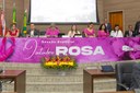 Sessão do Outubro Rosa mostra avanços na luta contra o câncer, mas aponta questionamentos