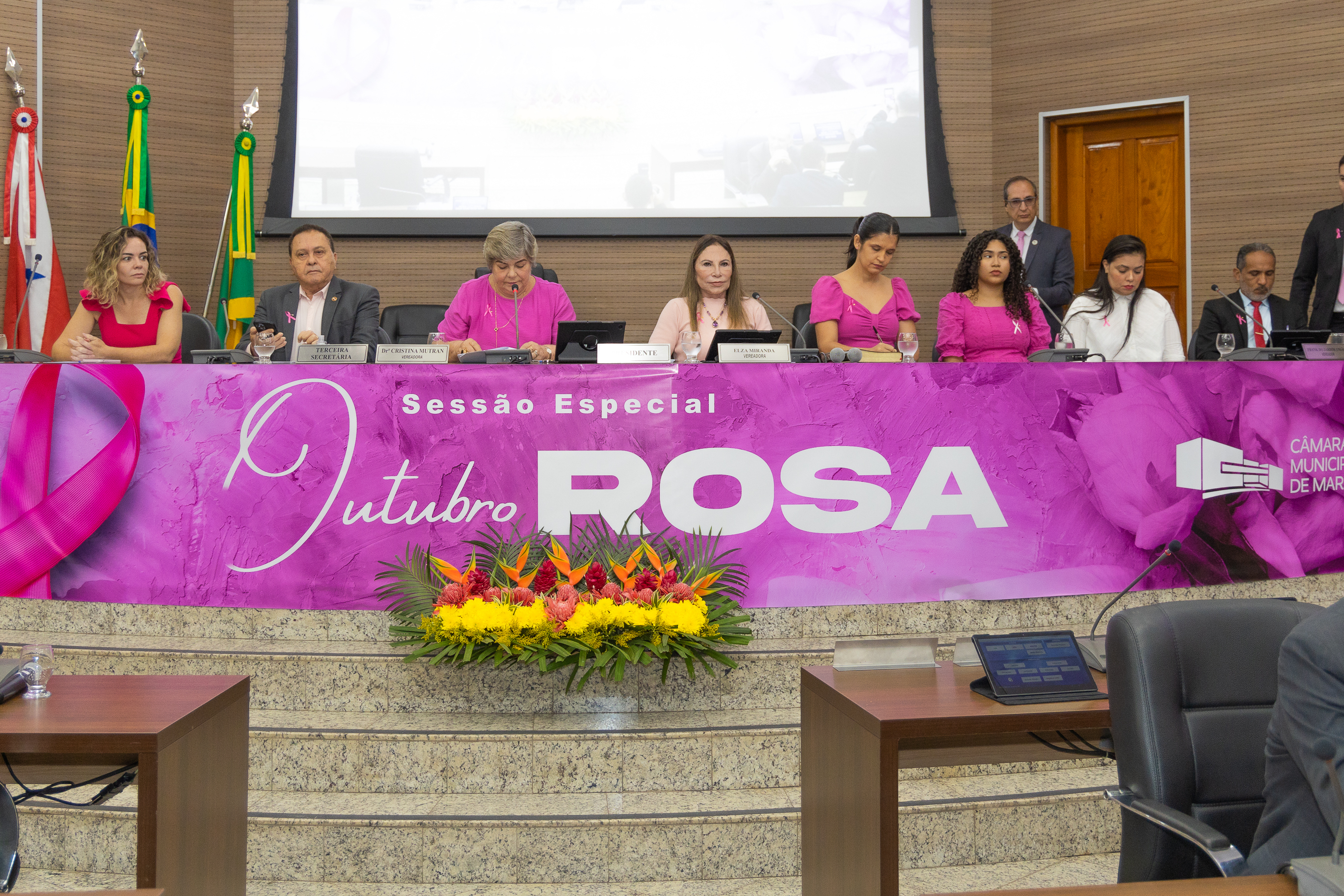 Sessão do Outubro Rosa mostra avanços na luta contra o câncer, mas aponta questionamentos