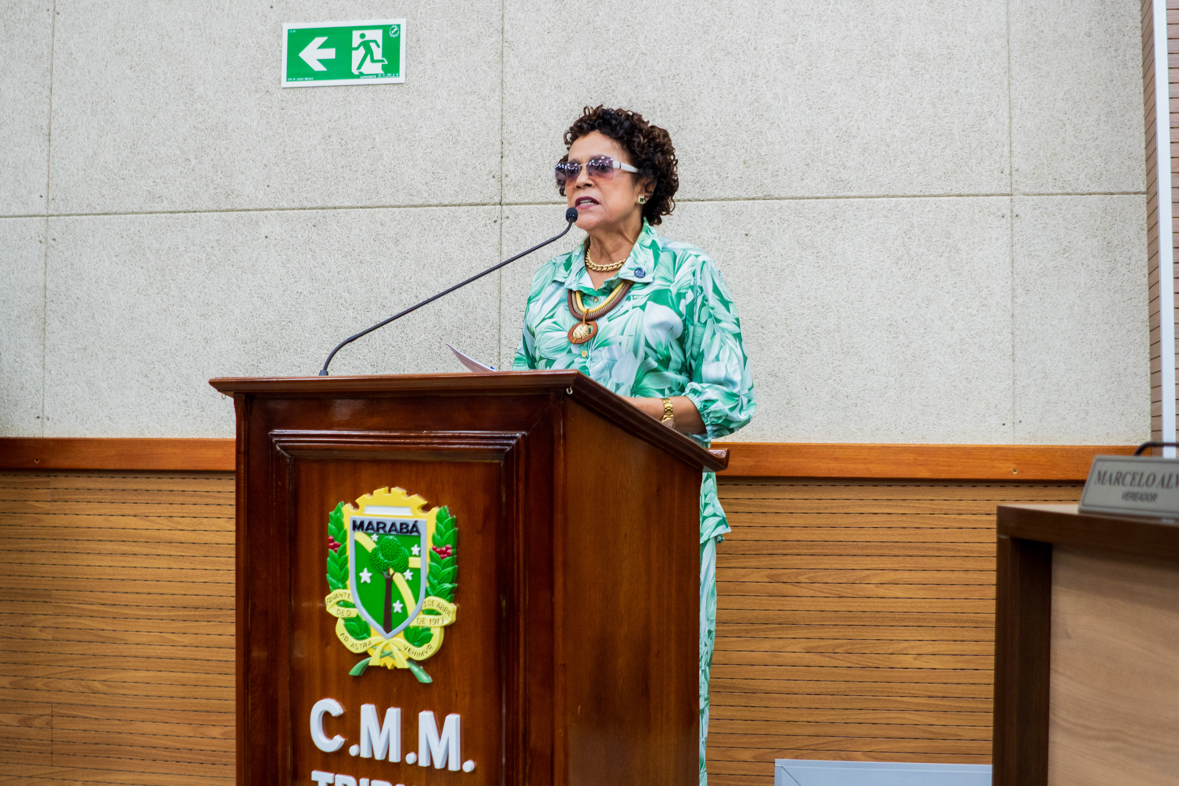 Vereadores exigem cronograma e transparência do Dnit sobre ponte interditada
