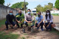 Vereadores fazem plantio de mudas de pau preto