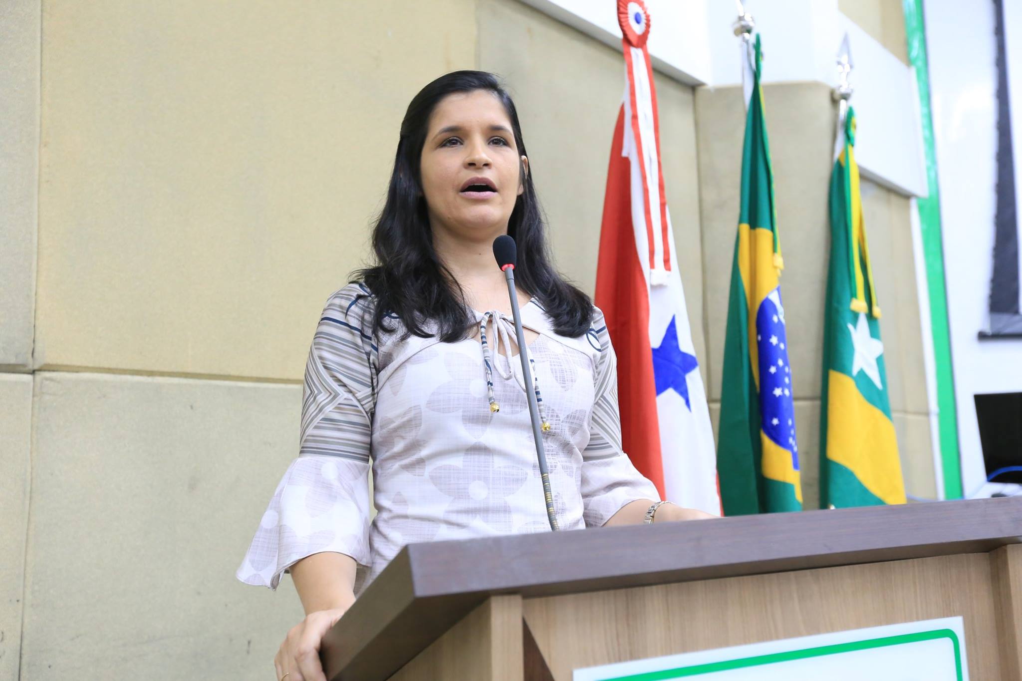 Vereadores lembram 12 anos da Lei Maria da Penha 